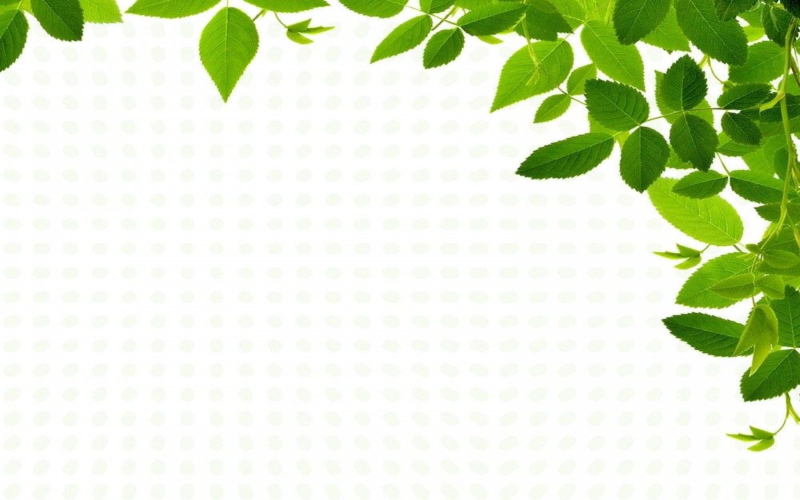 Hình nền PowerPoint về môi trường